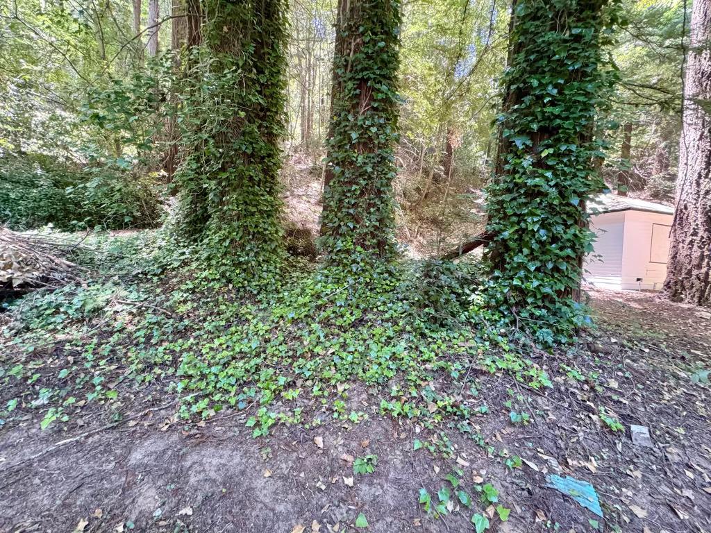 234 Monte Vista Lane