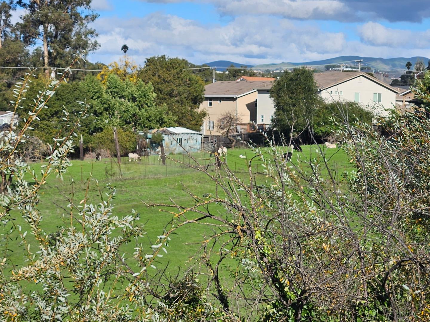 23022 Palazzo Del Kayla