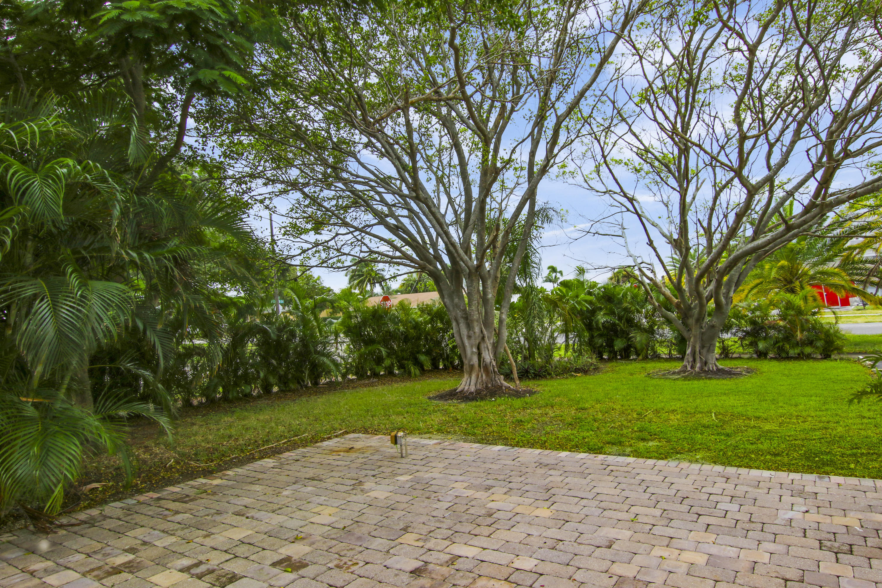 593 PALMETTO Drive 1