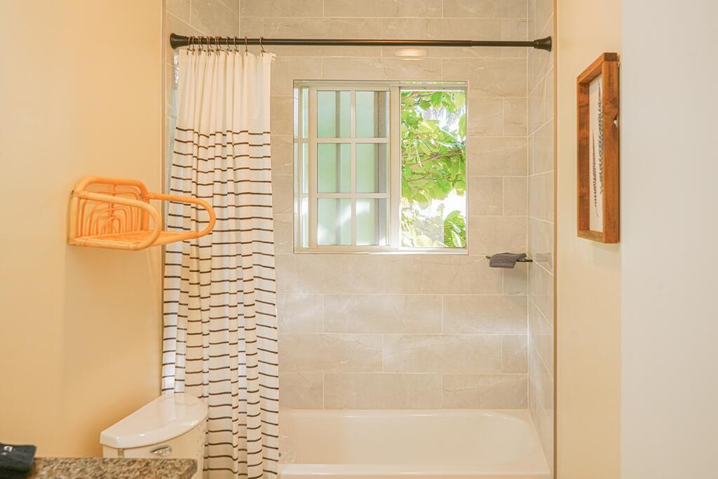 231 Bamboo Road 3