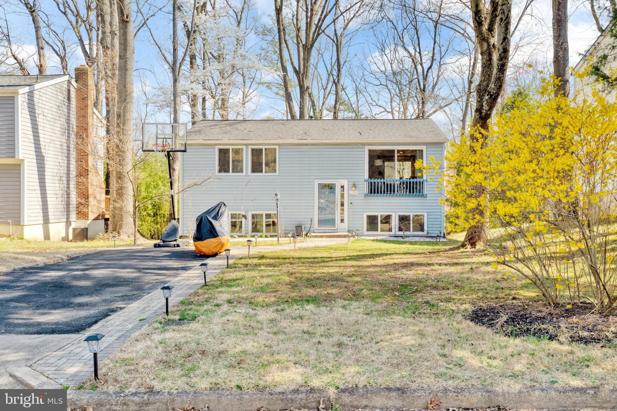 11568 Shadbush Ct
