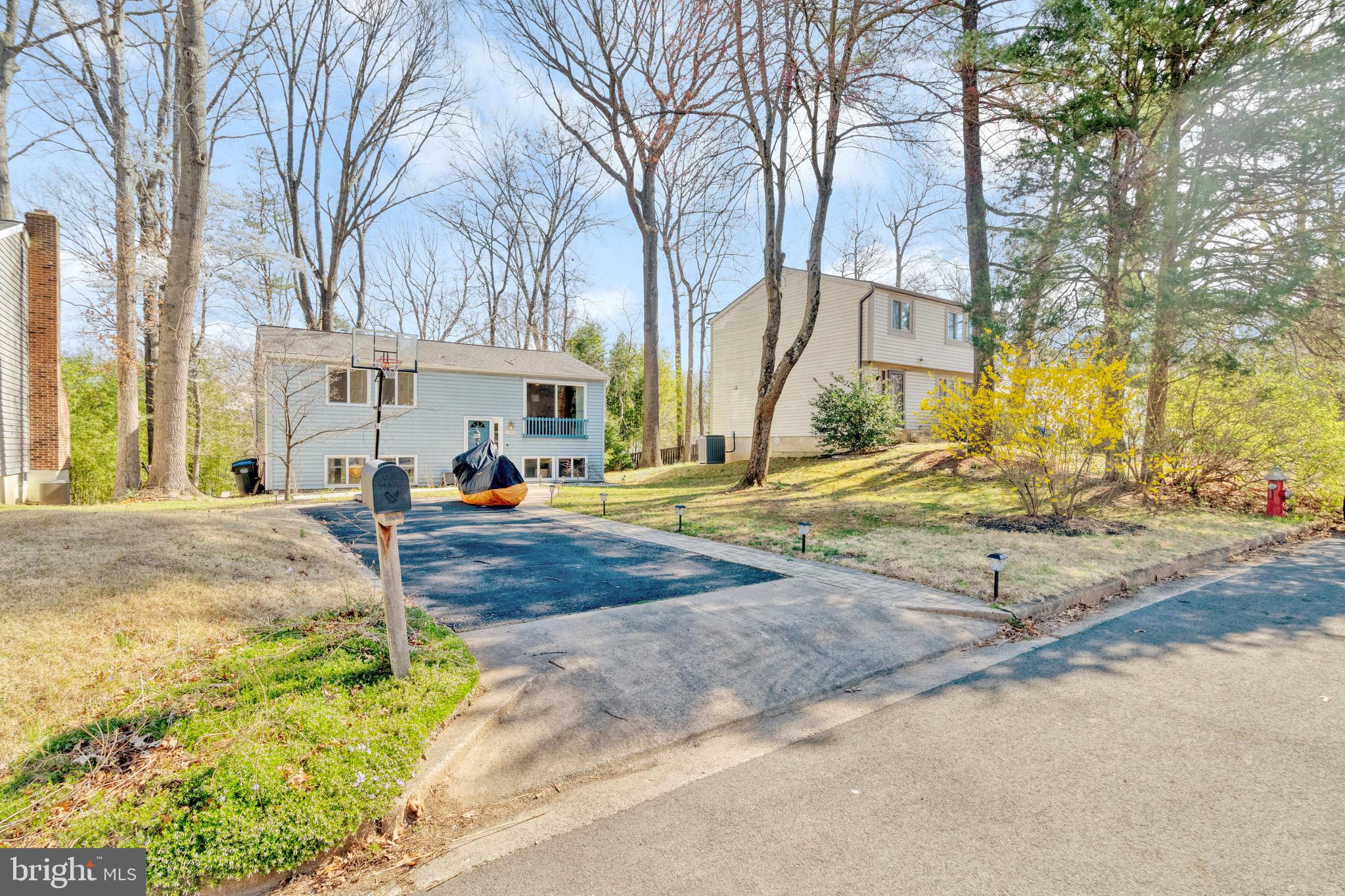 11568 Shadbush Ct