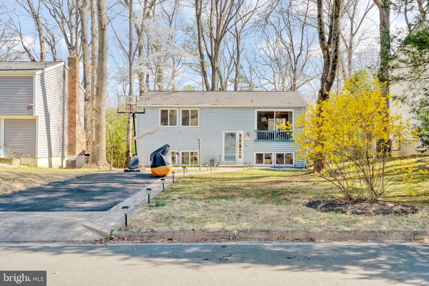 11568 Shadbush Ct