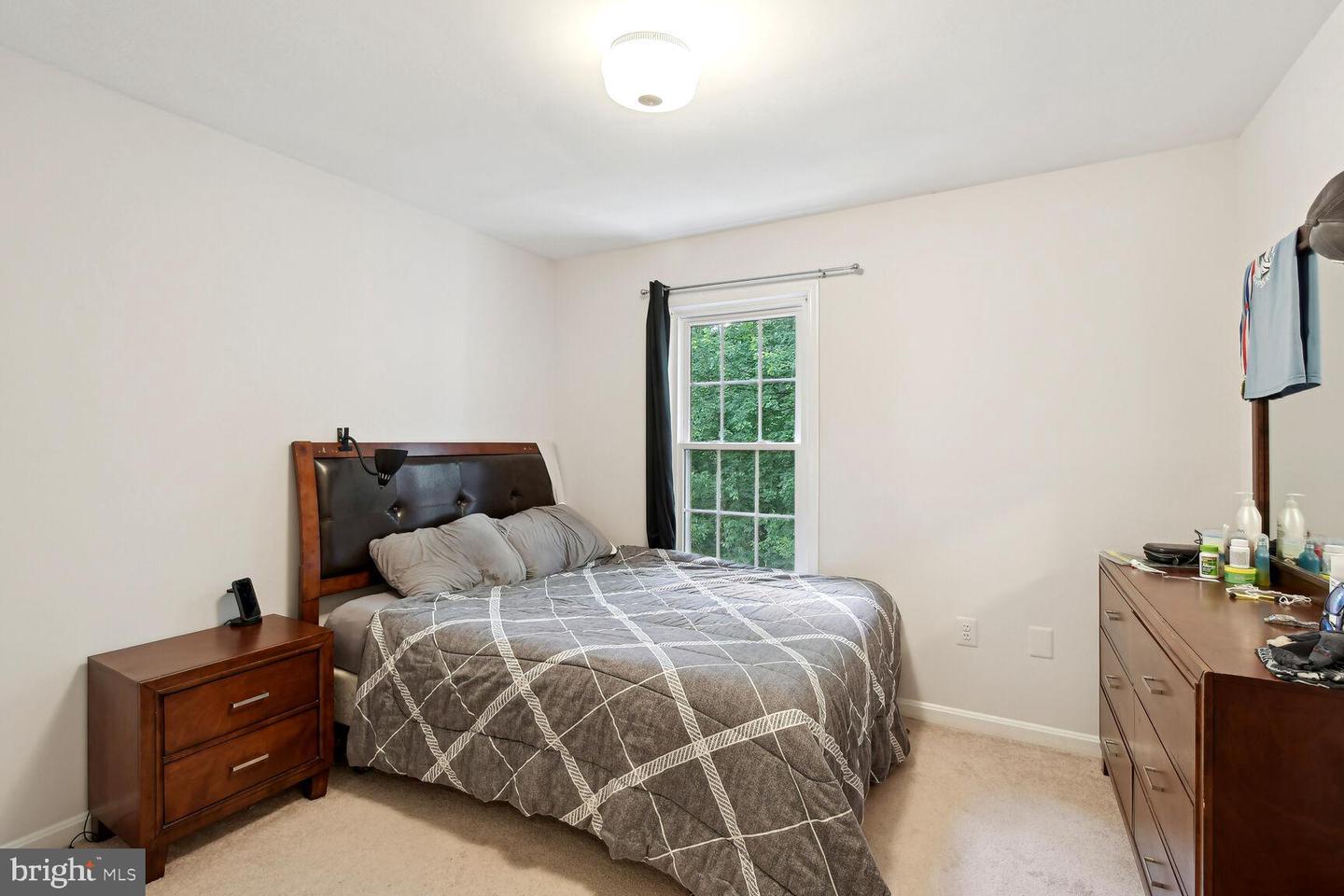 11734 GREAT OWL CIR
