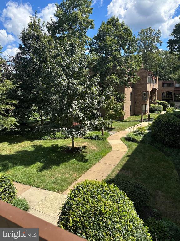 11208 CHESTNUT GROVE SQUARE 11208-209