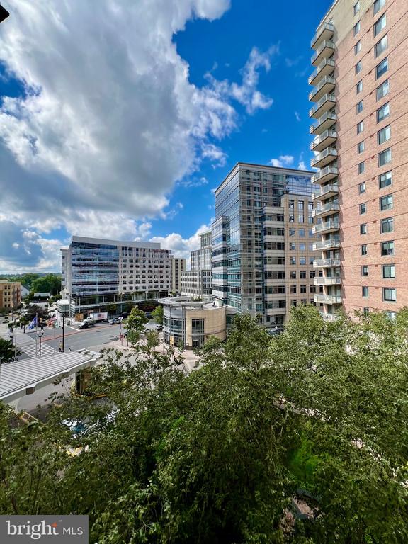 851 N GLEBE RD #604