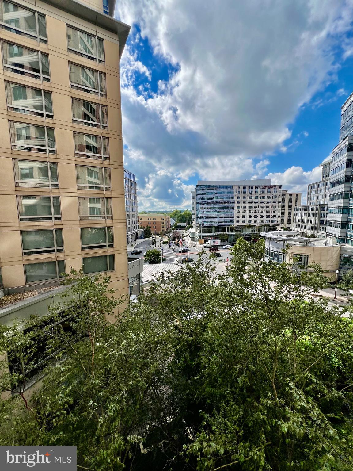 851 N GLEBE RD #604