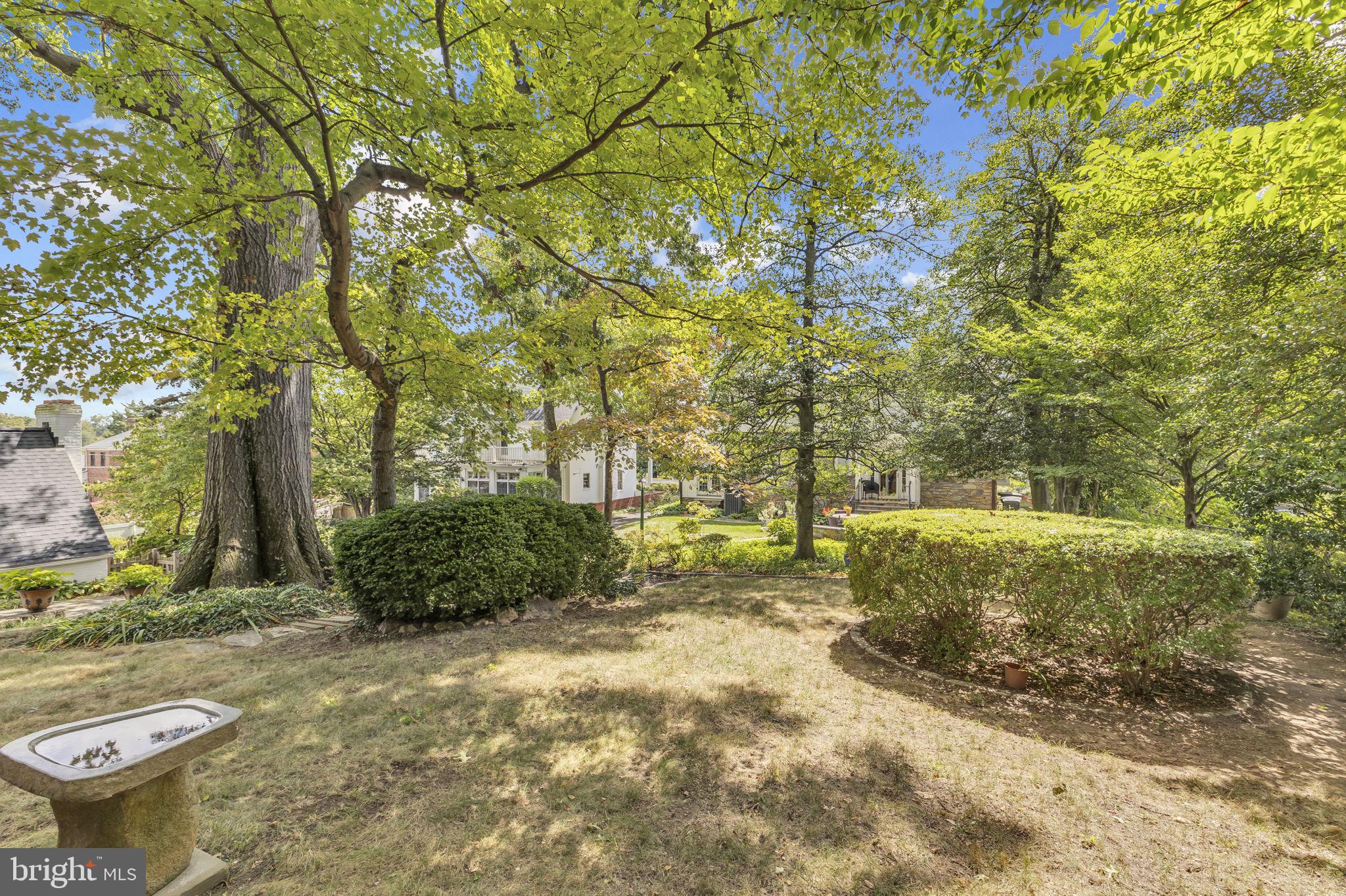 6223 LANGSTON BOULEVARD