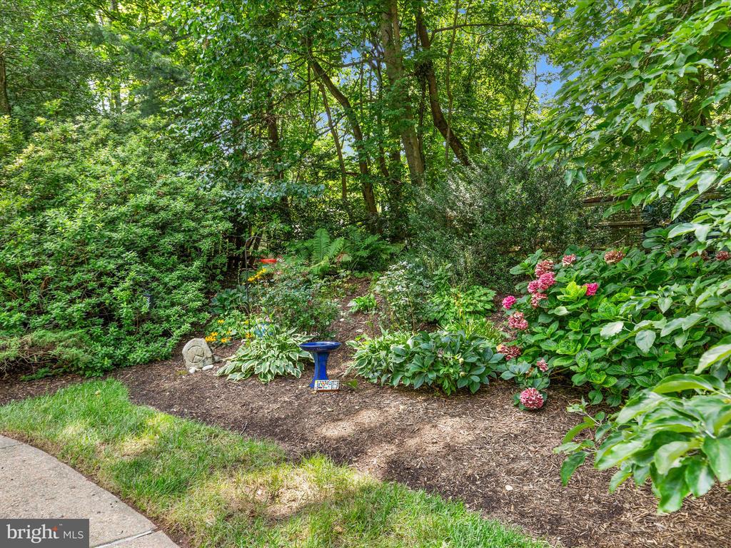 1749 DRESSAGE DRIVE