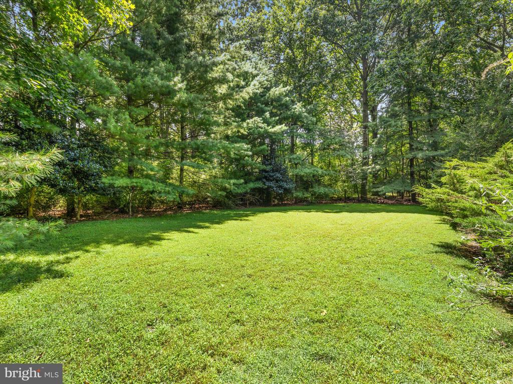 1749 DRESSAGE DRIVE