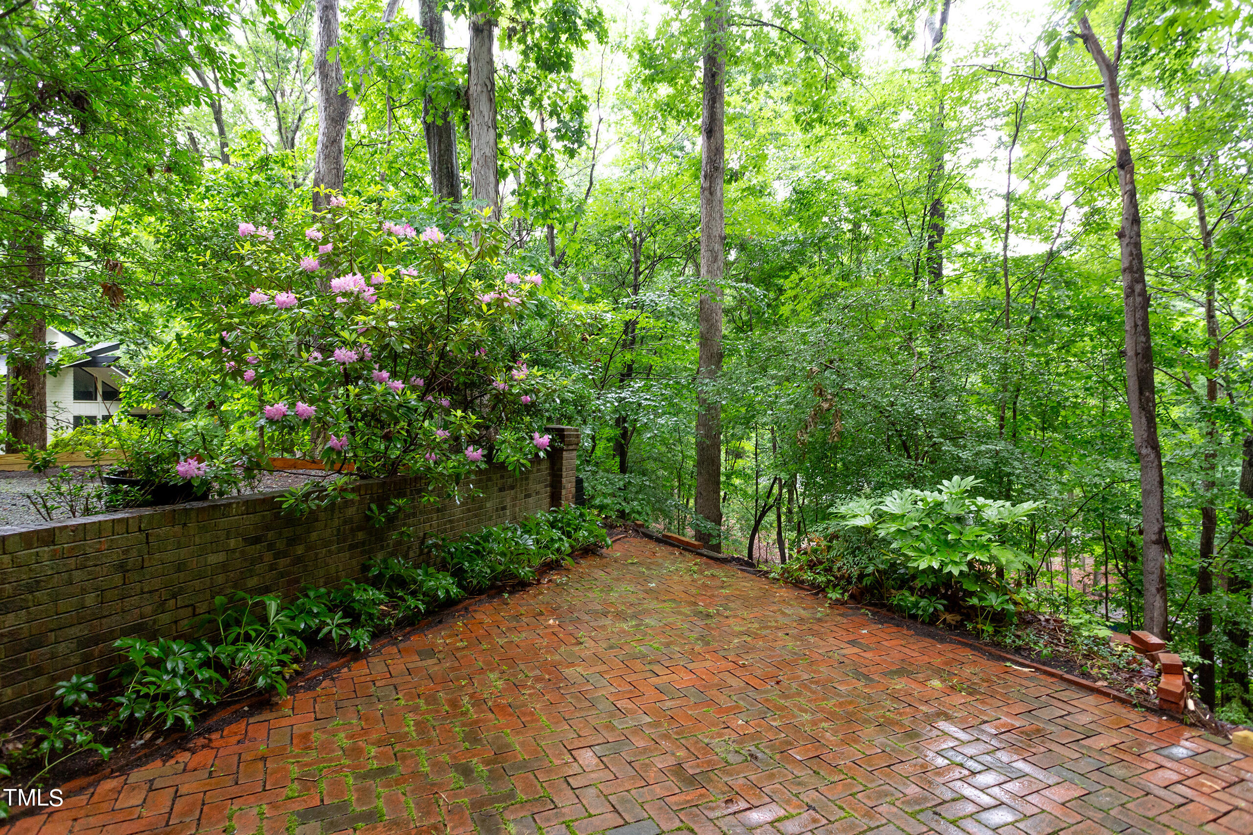 616 Beech Tree Court