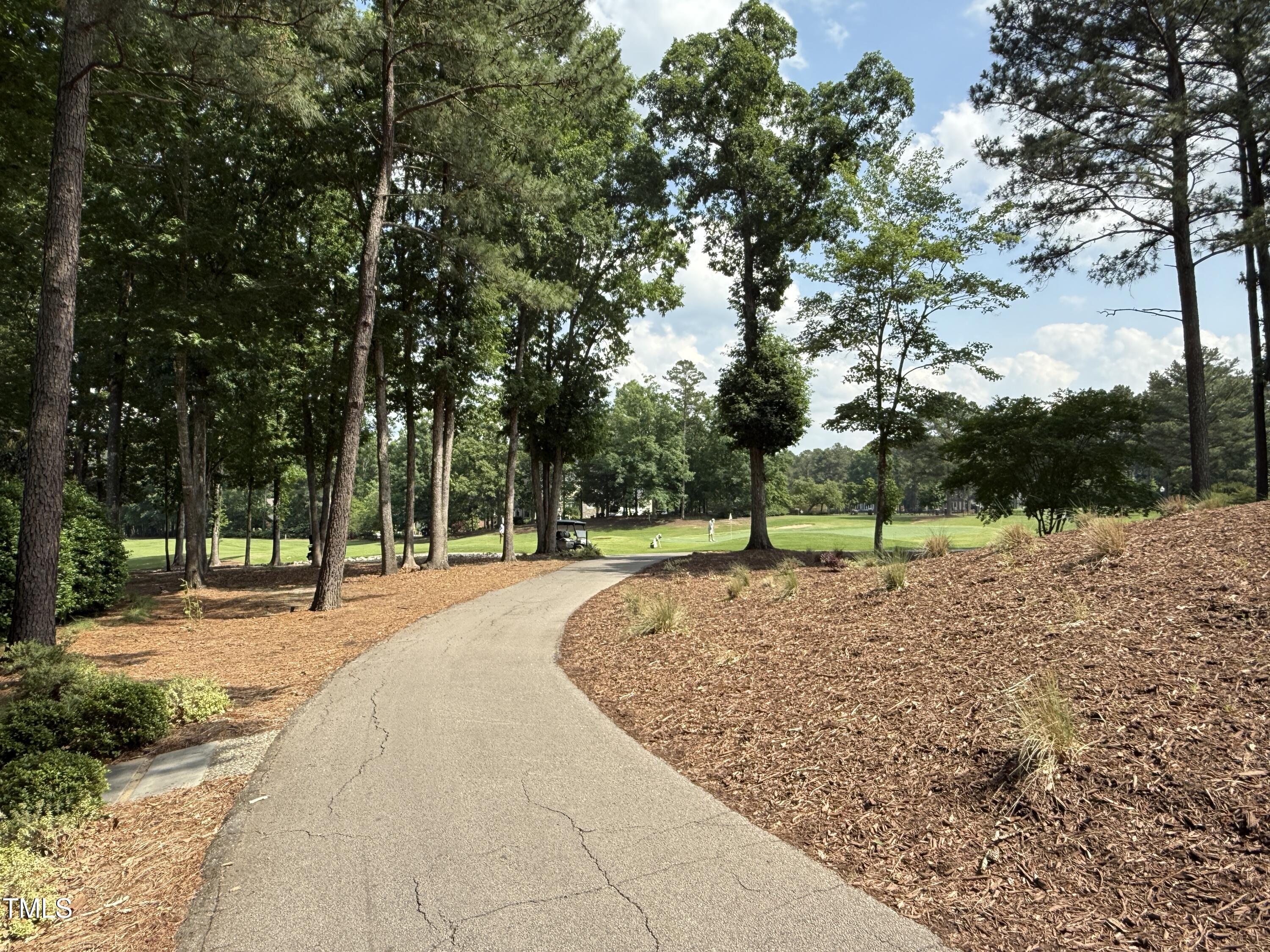 107 Ivy Hollow Court