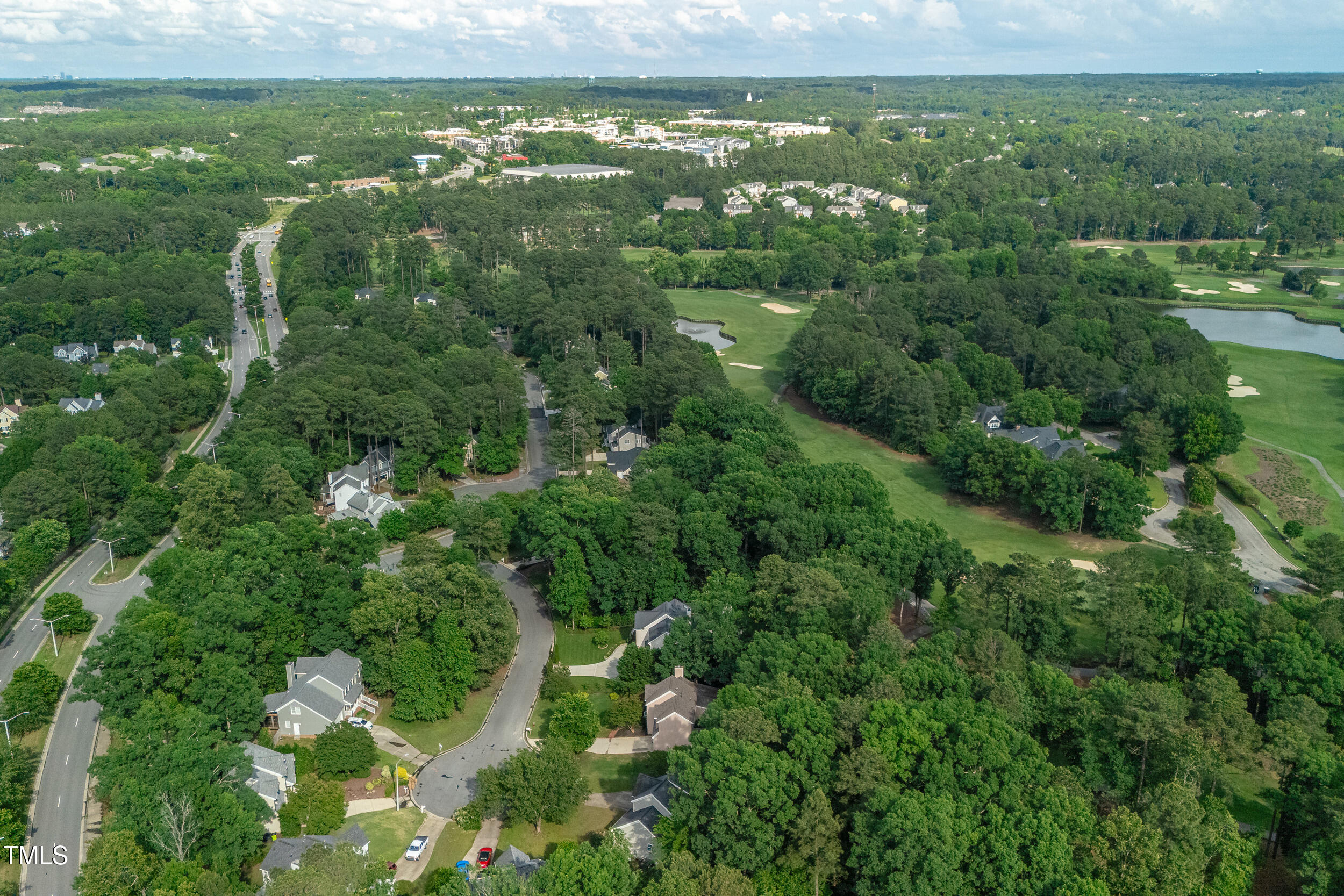 107 Ivy Hollow Court