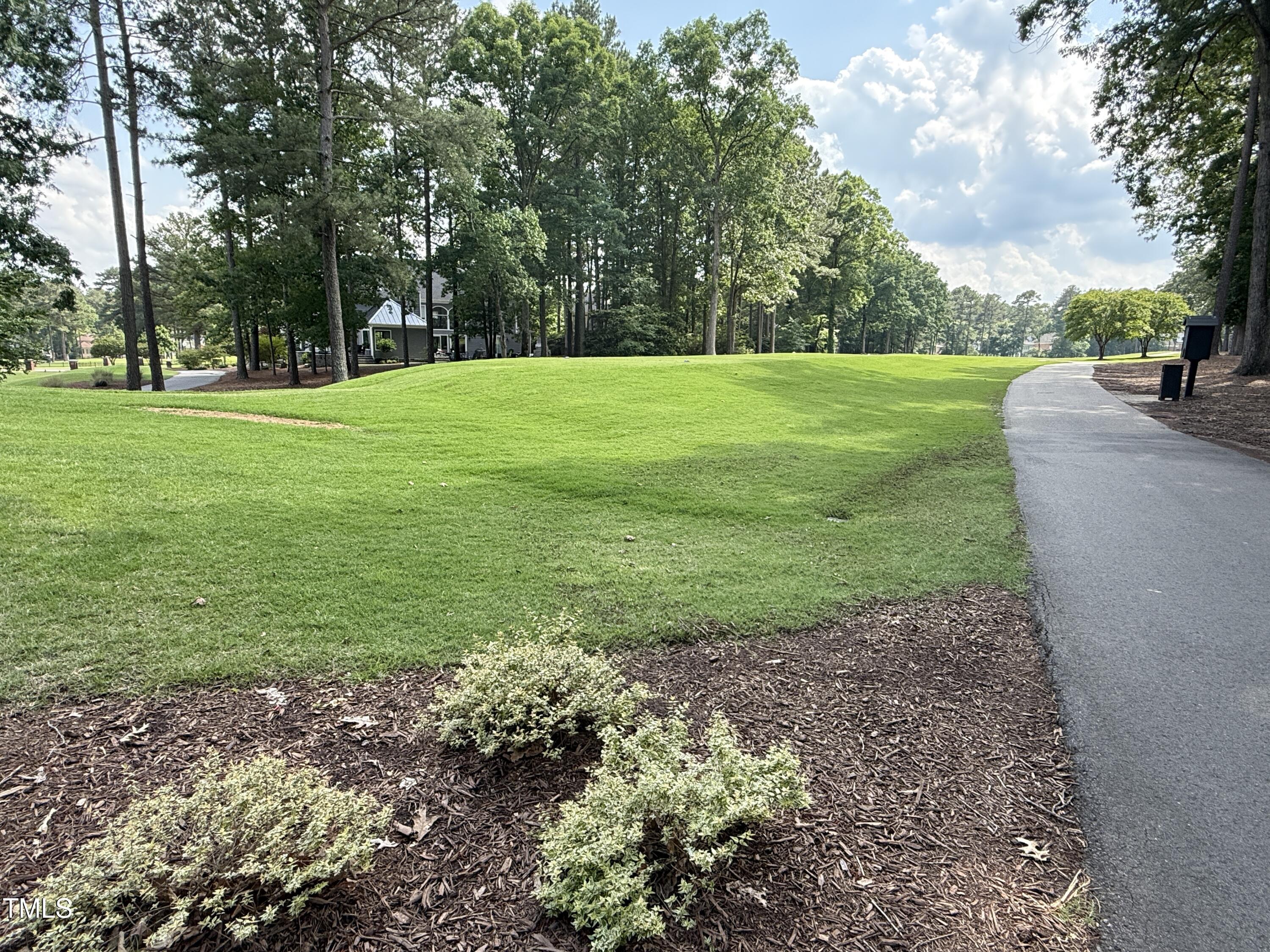 107 Ivy Hollow Court