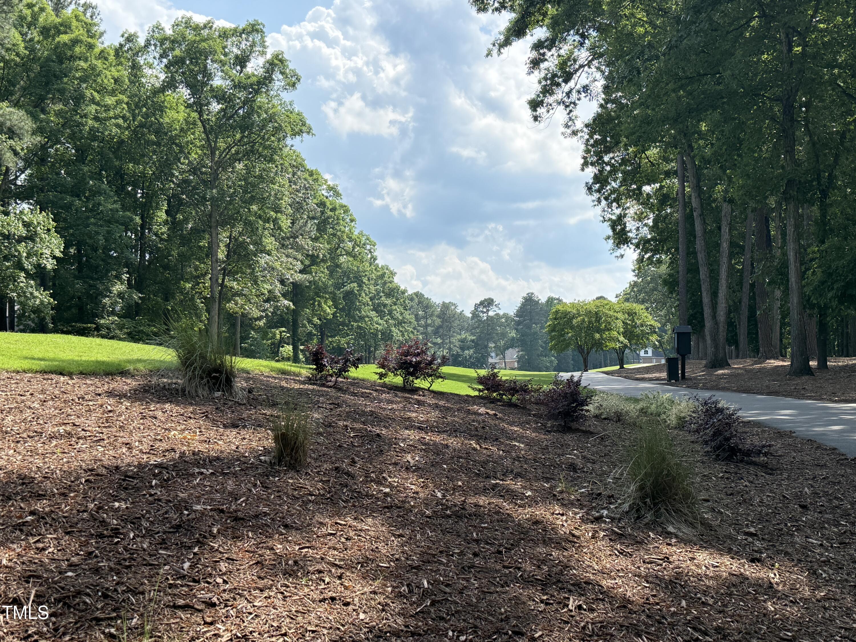 107 Ivy Hollow Court