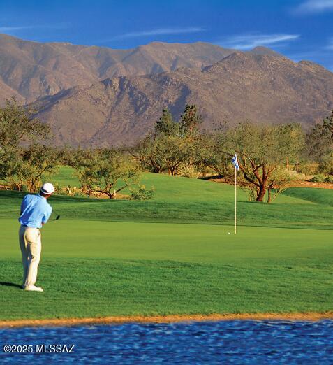 31226 S One Horse Lane