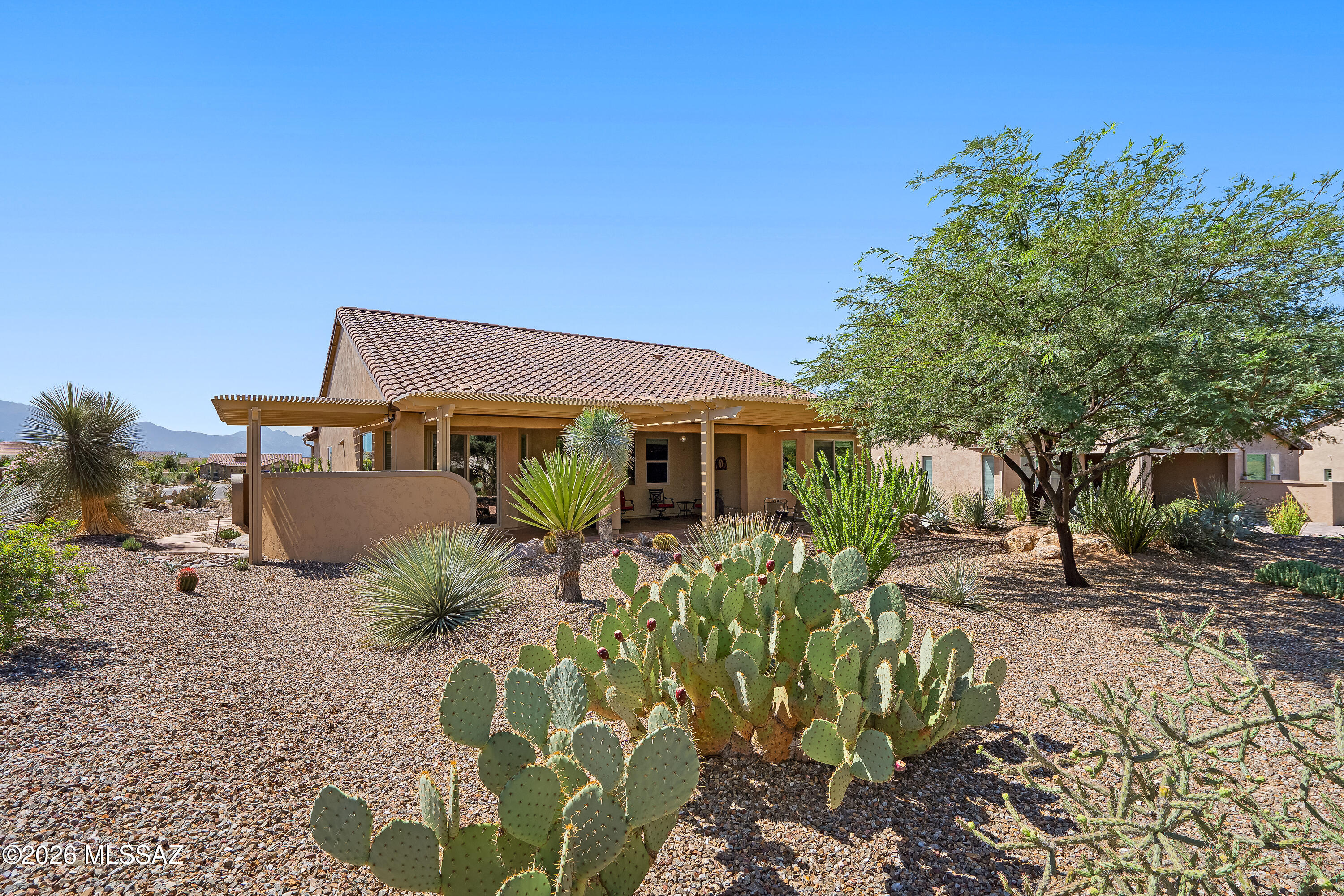 Desert home with a covered patio, terracotta tile roof, and cactus landscaping.