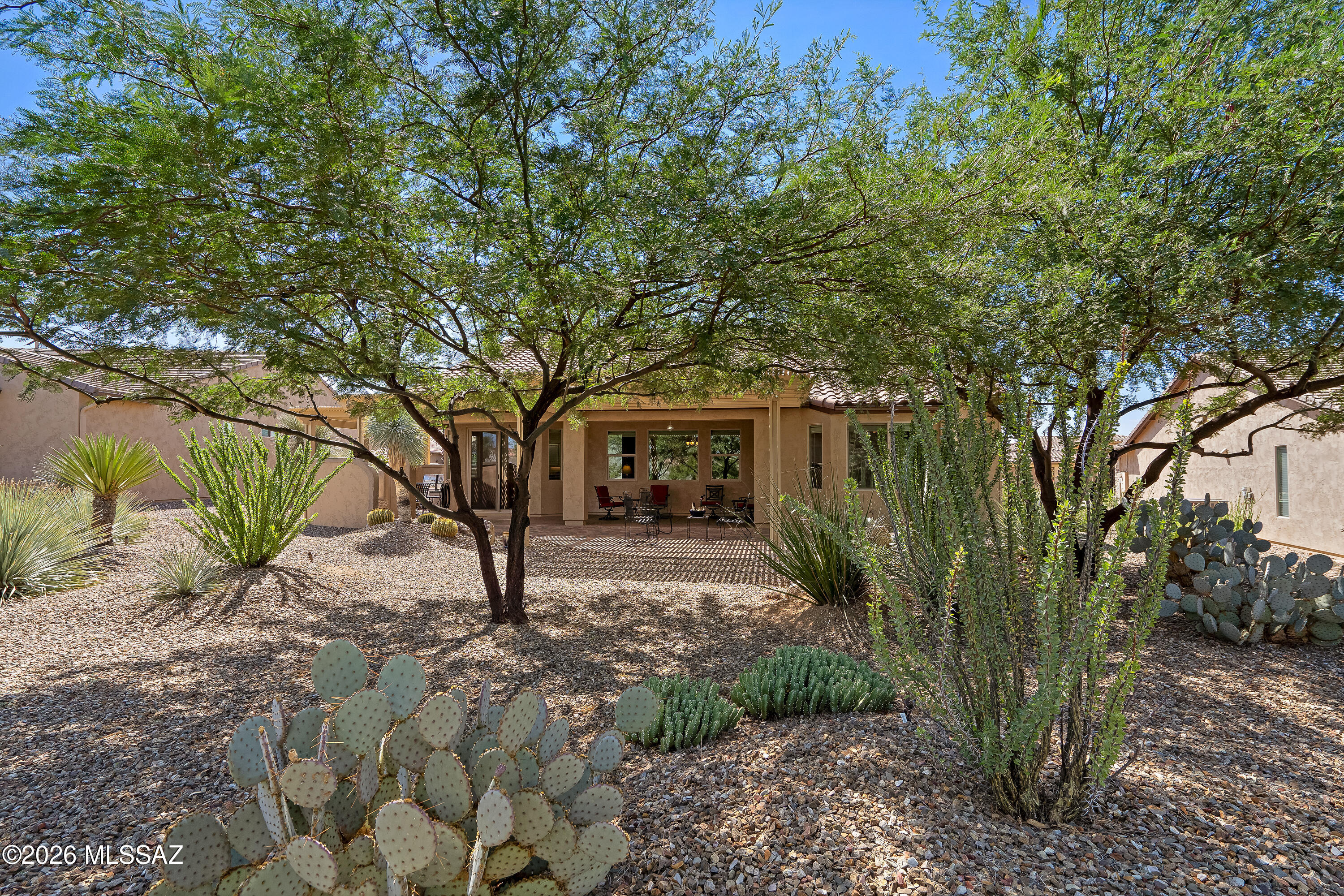 Home’s covered rear patio and gravel yard shaded by desert trees, with prickly pear cactus and yucca.