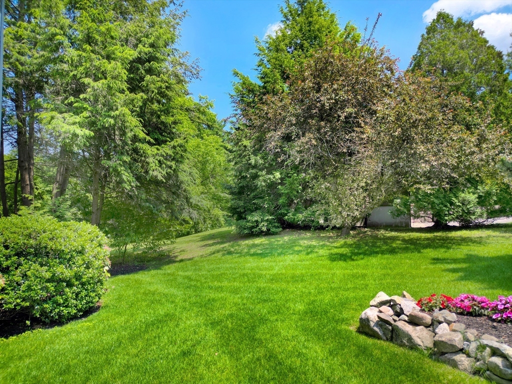 4 Aricia Ln