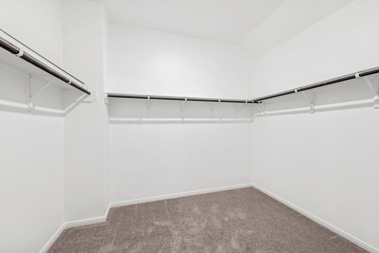 326 Prairie Warbler Street