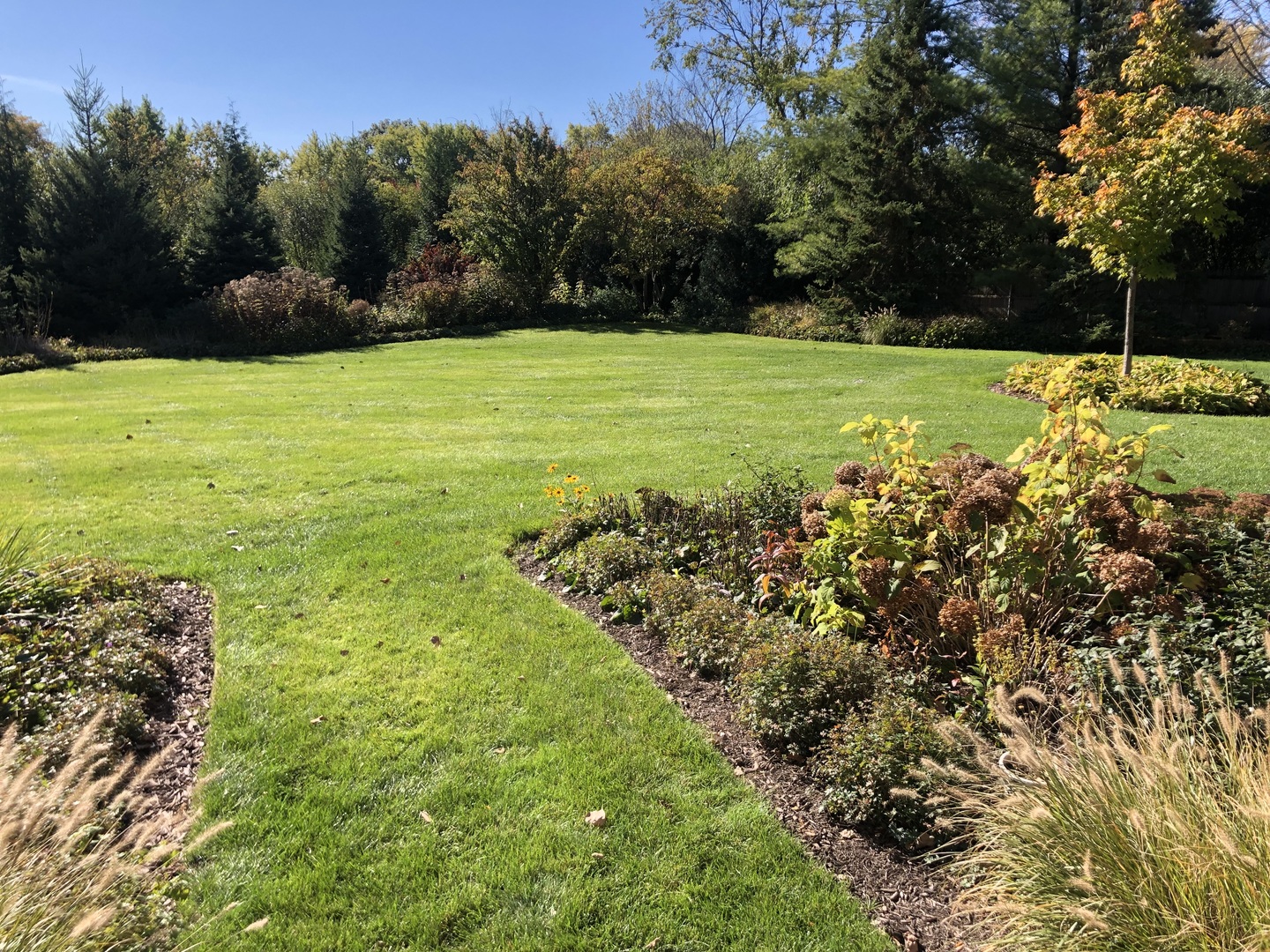 1021 W Old Mill Road