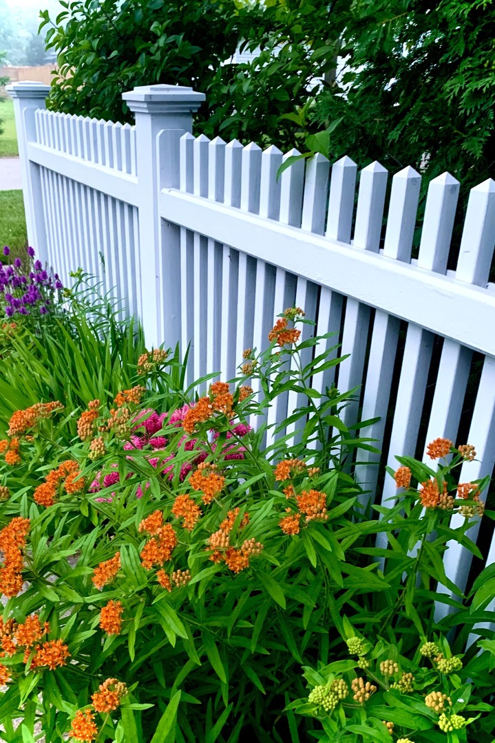 19 N June Terrace
