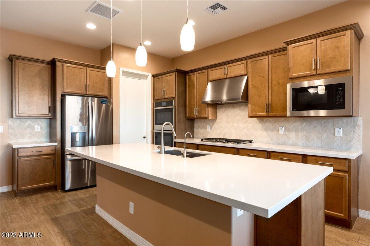 20519 W ROSEWOOD Lane