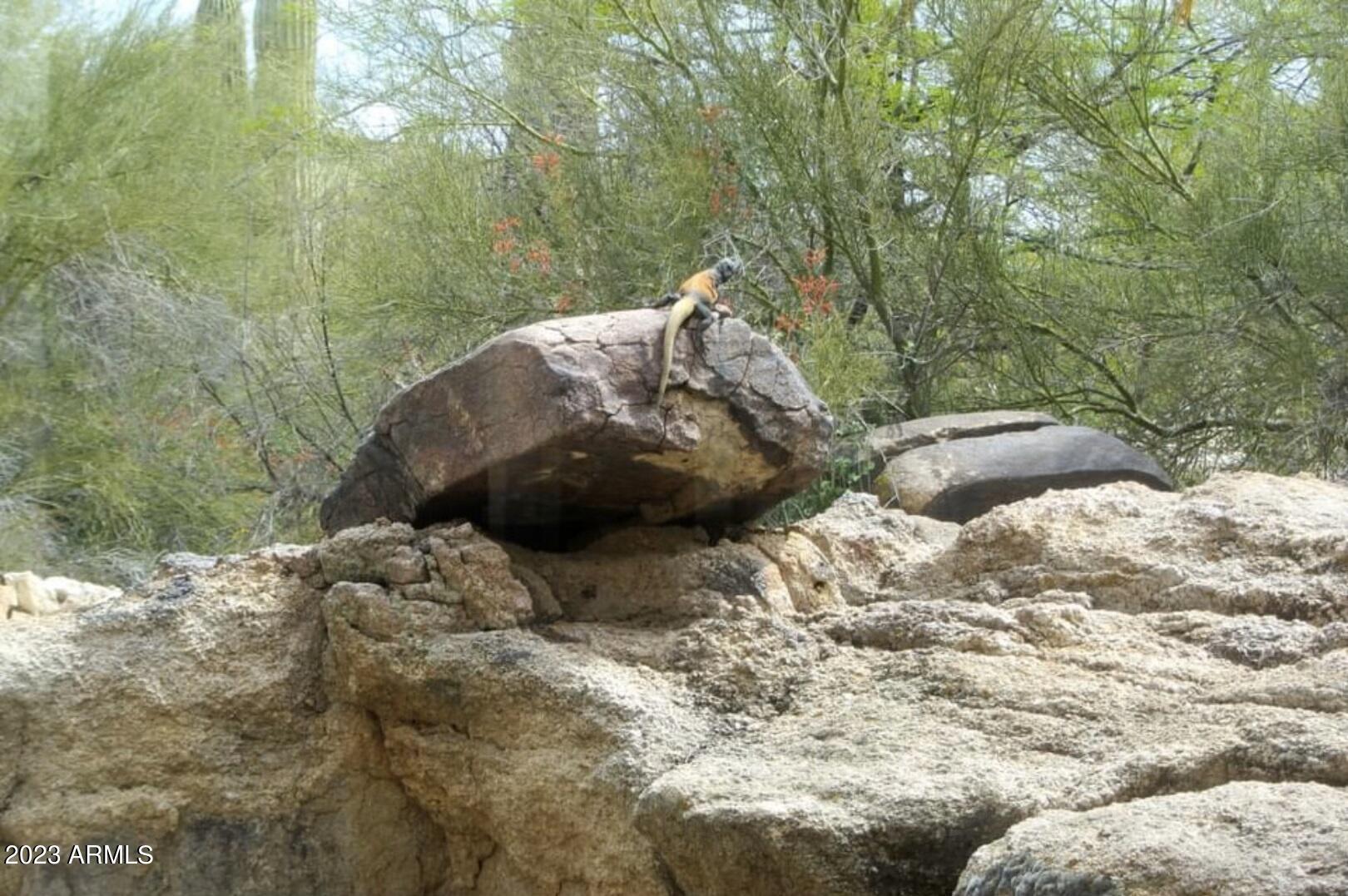 7906 E LAS PIEDRAS Way