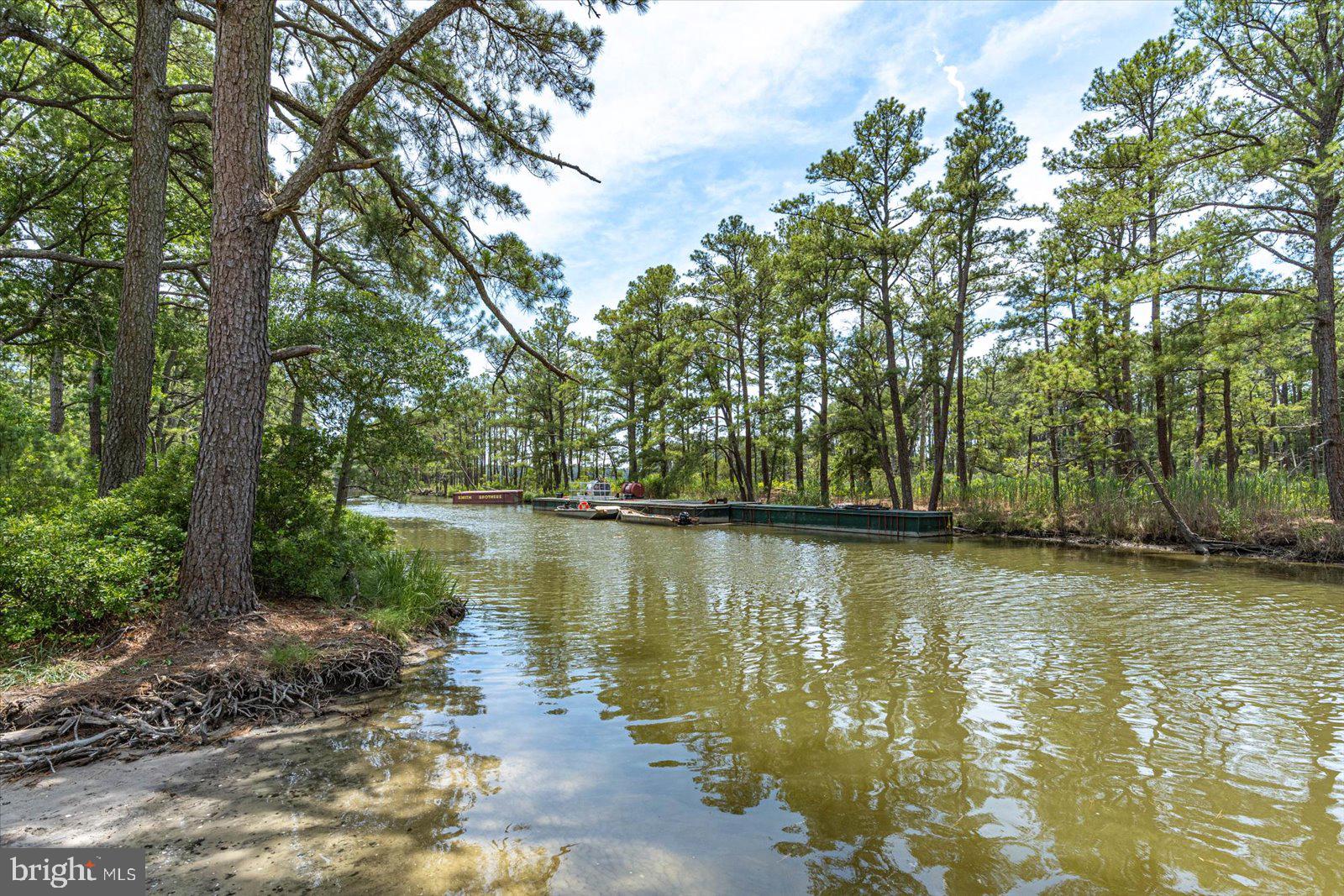 34008 ANNA MARIA DRIVE 115