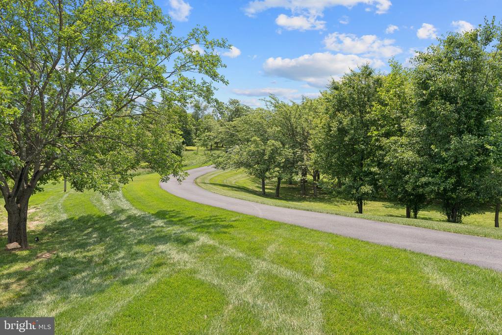 237 BARBERRY LANE
