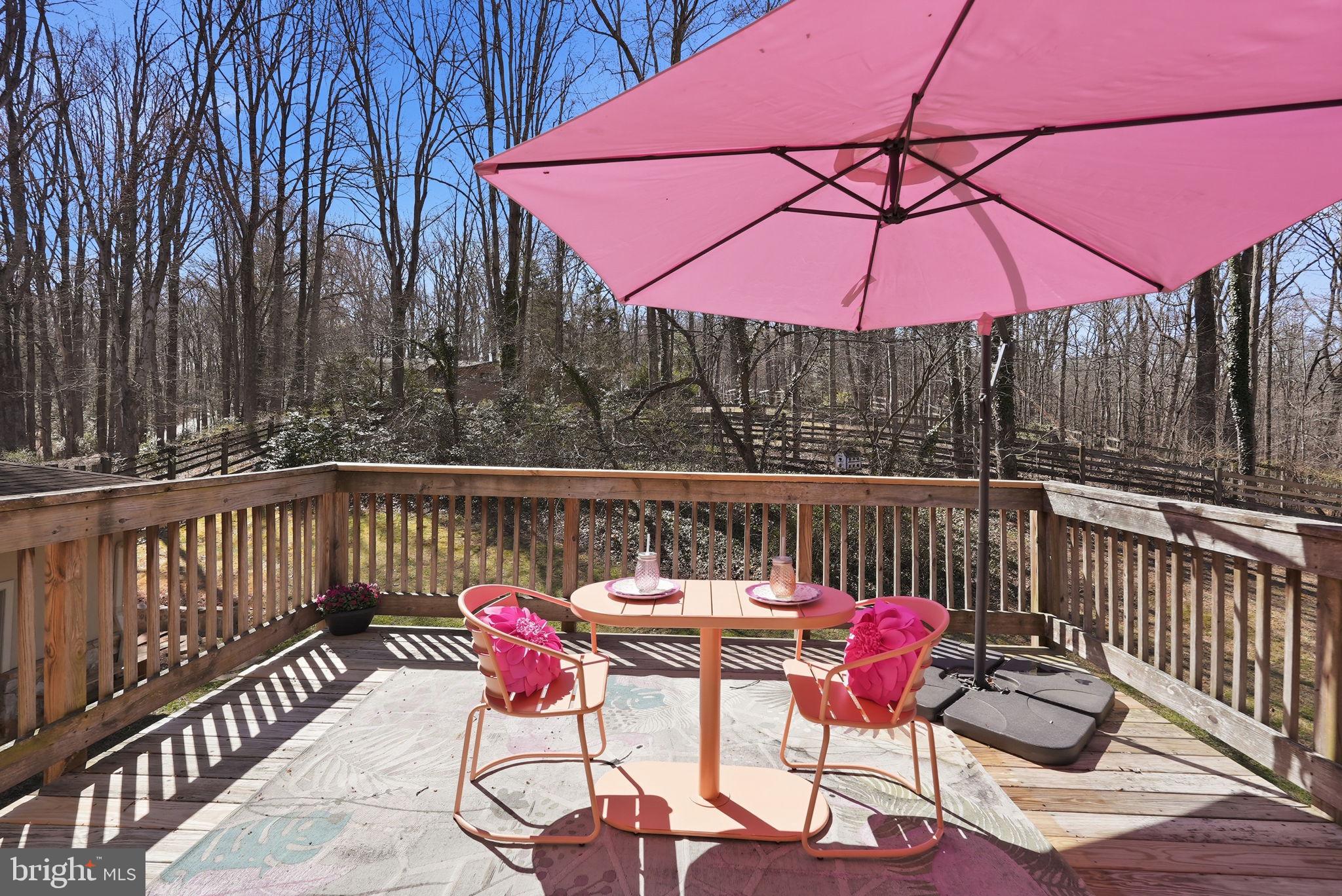 16420 BLACK ROCK ROAD