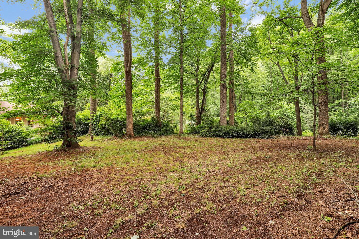 16420 BLACK ROCK ROAD