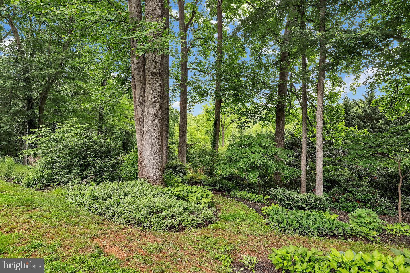 16420 BLACK ROCK ROAD