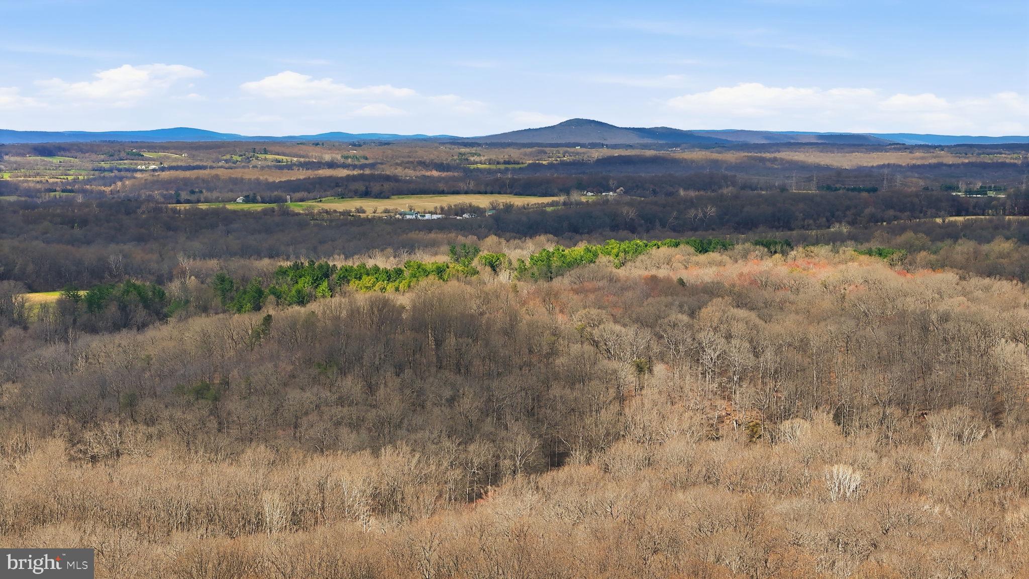 14512 BELLMEADE LANE