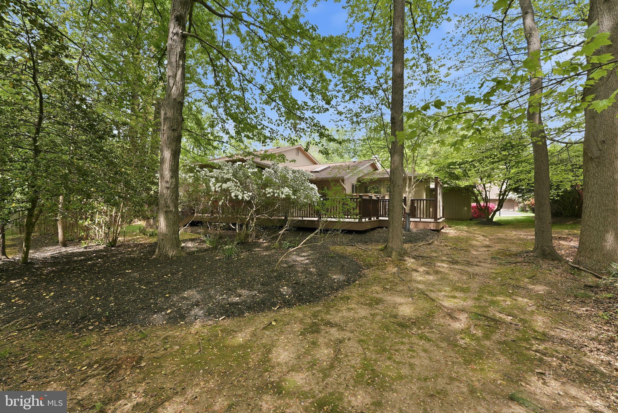 15 ARLIVE COURT