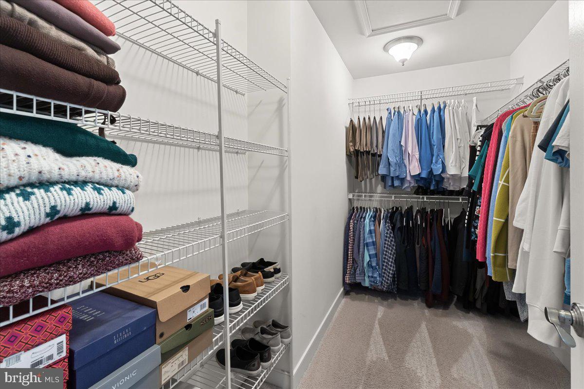 3904 BRAVEHEART CIRCLE