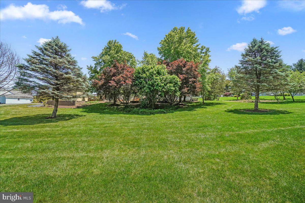 11920 BROWNING COURT