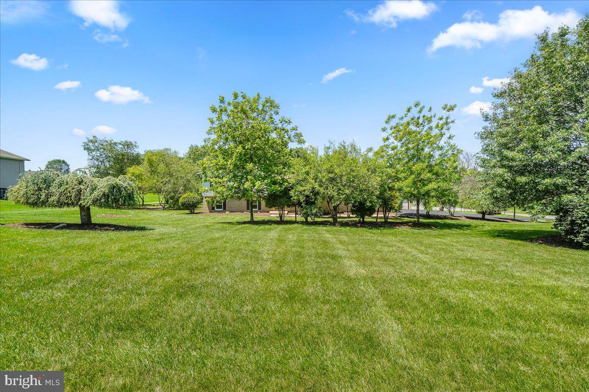 11920 BROWNING COURT