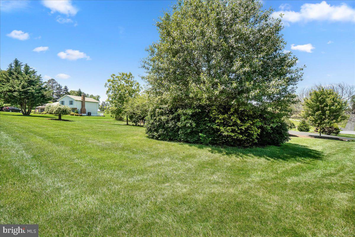 11920 BROWNING COURT