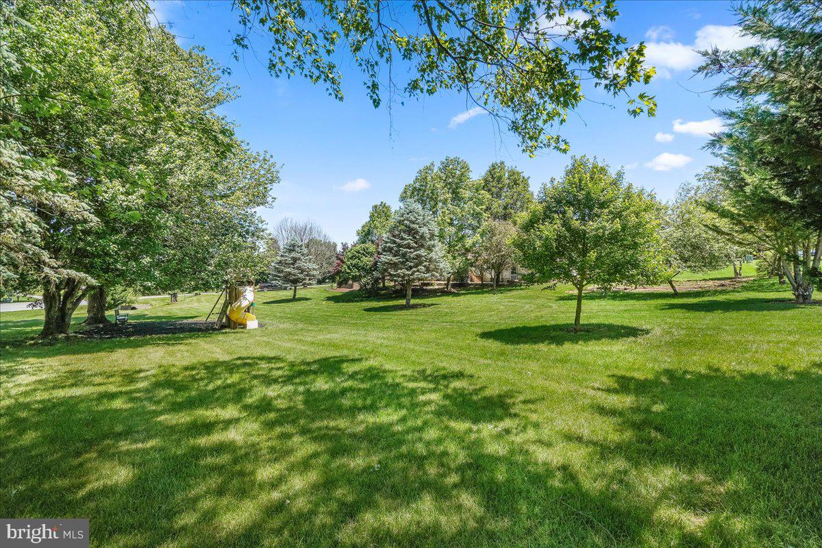 11920 BROWNING COURT