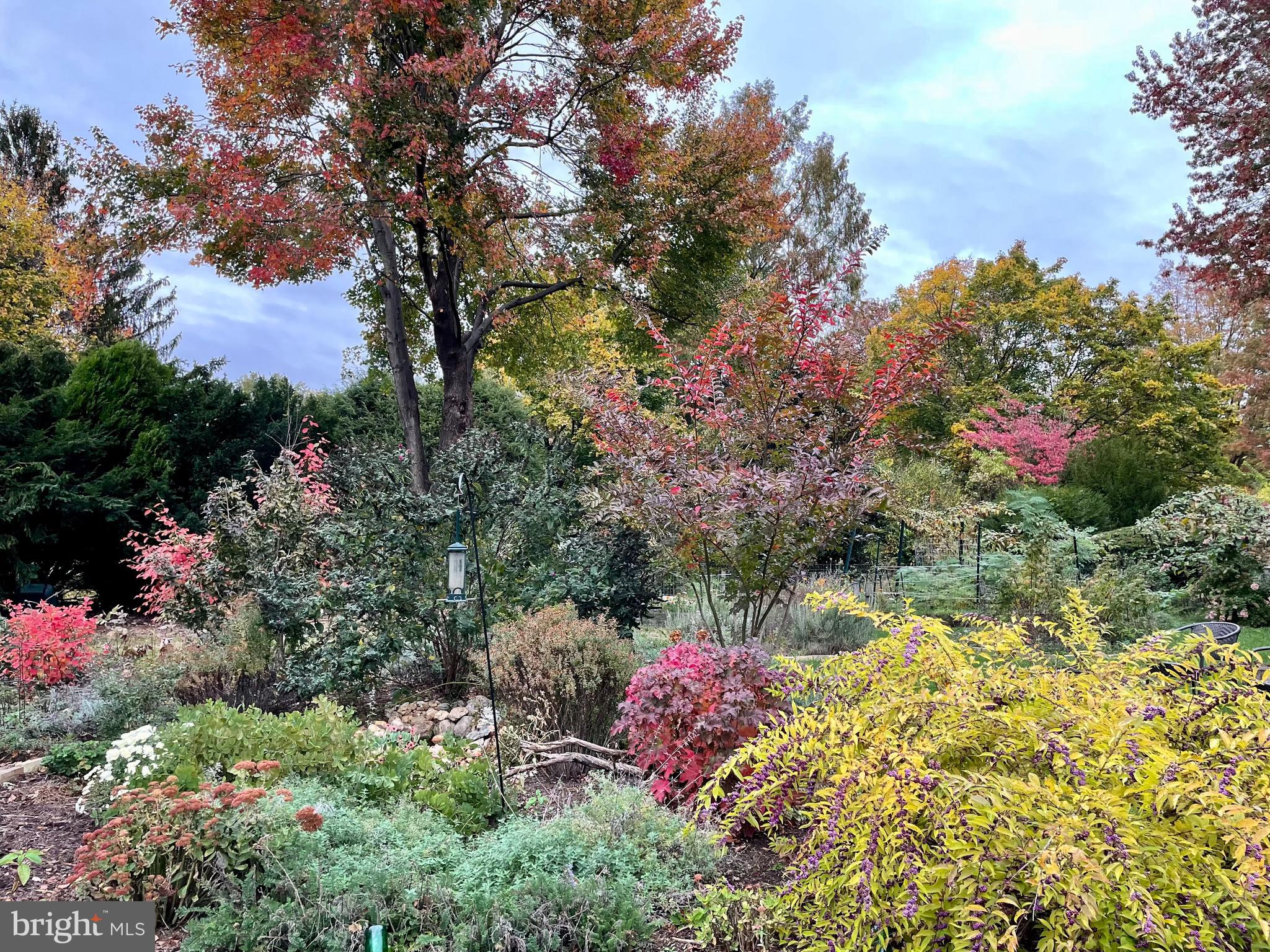 8003 CLEARFIELD ROAD