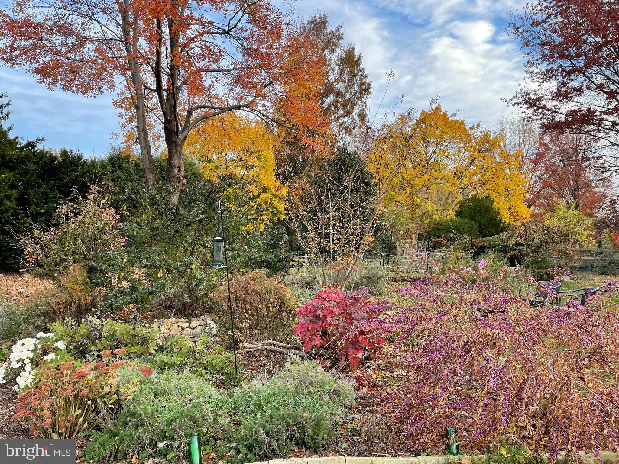 8003 CLEARFIELD ROAD