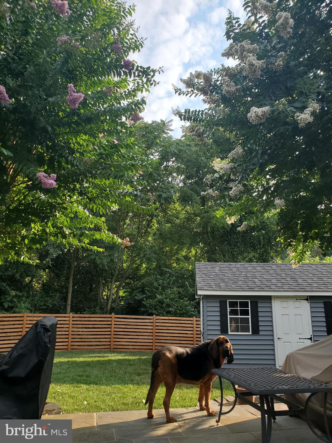 6241 DARLINGTON COURT