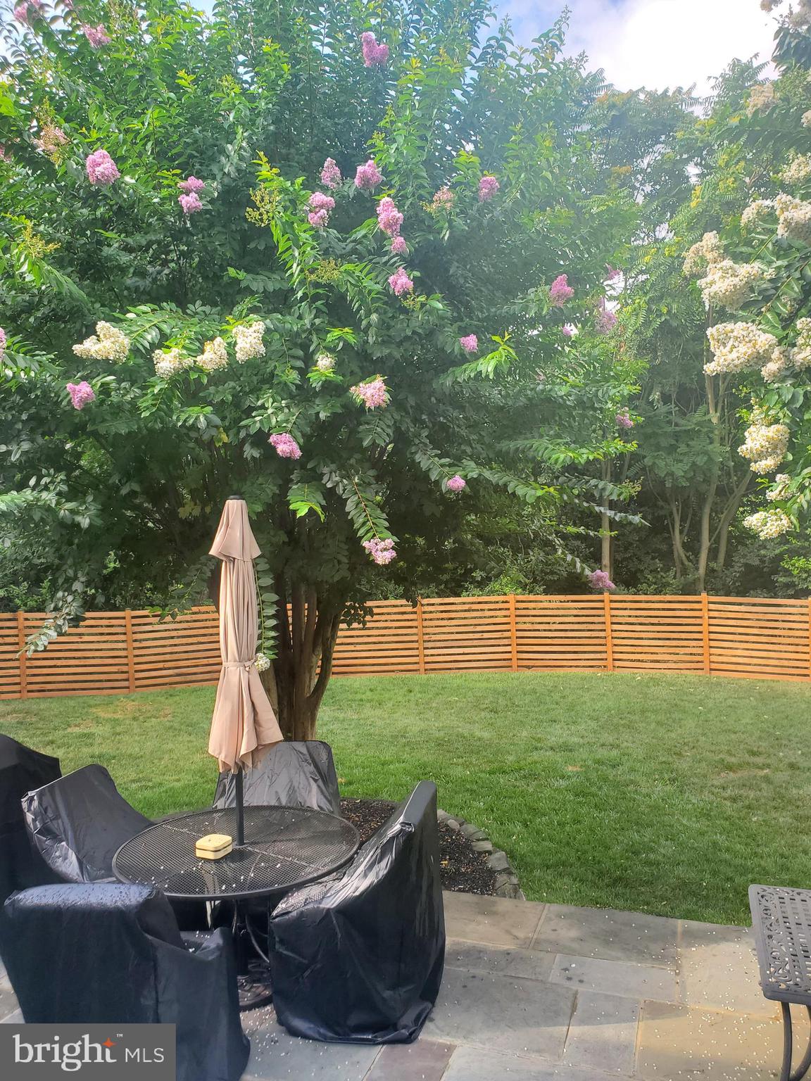 6241 DARLINGTON COURT