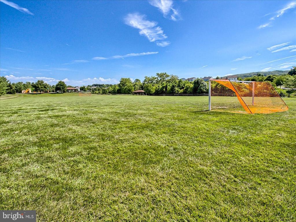 Grassy recreation field with an orange soccer goal and homes along the distant tree line.