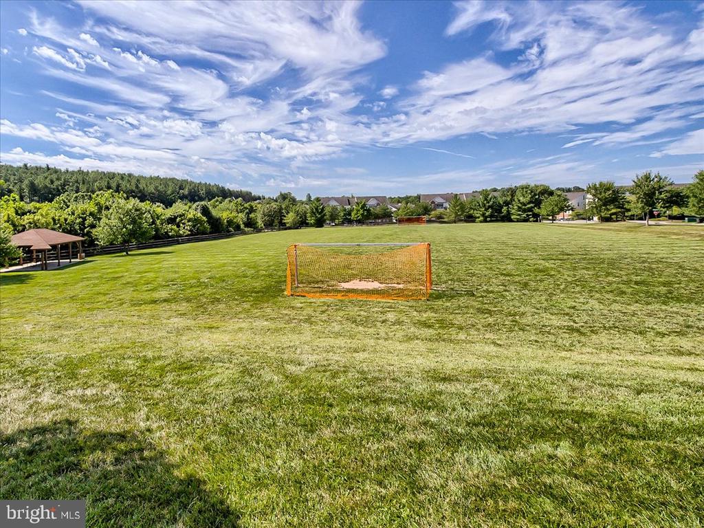Grassy recreation field with an orange goal, wooden pavilion, and homes in the distance.