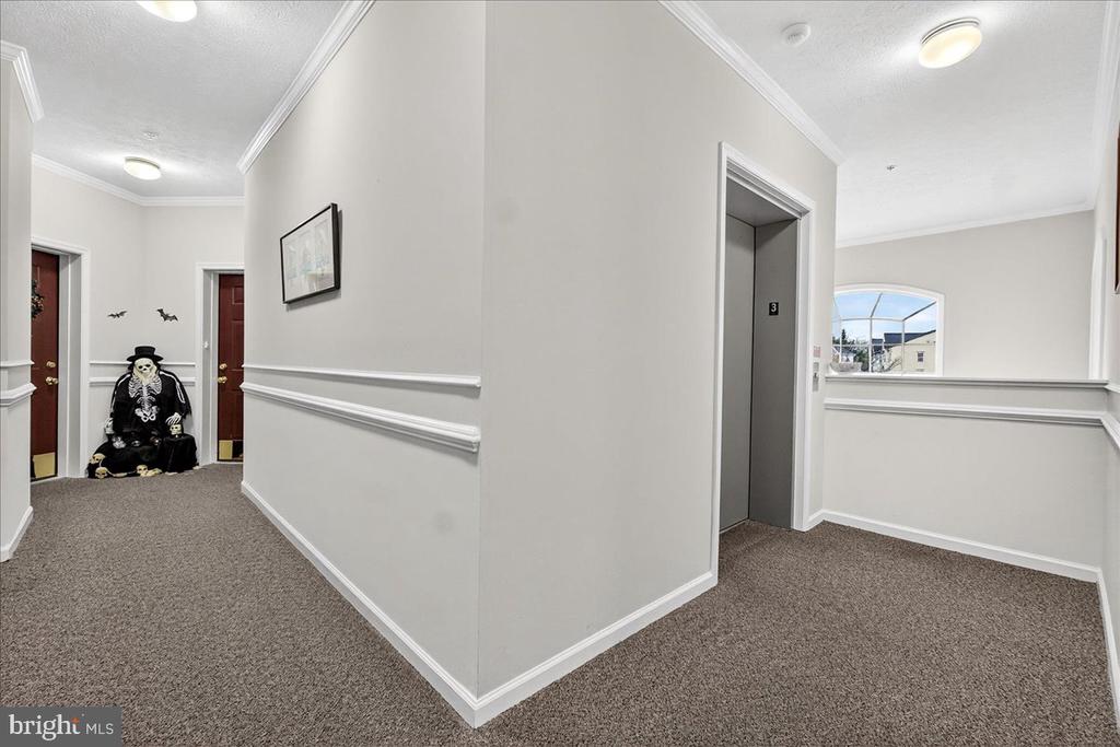 Apartment hallway with an elevator, carpeted floor, and a seated skeleton decoration.