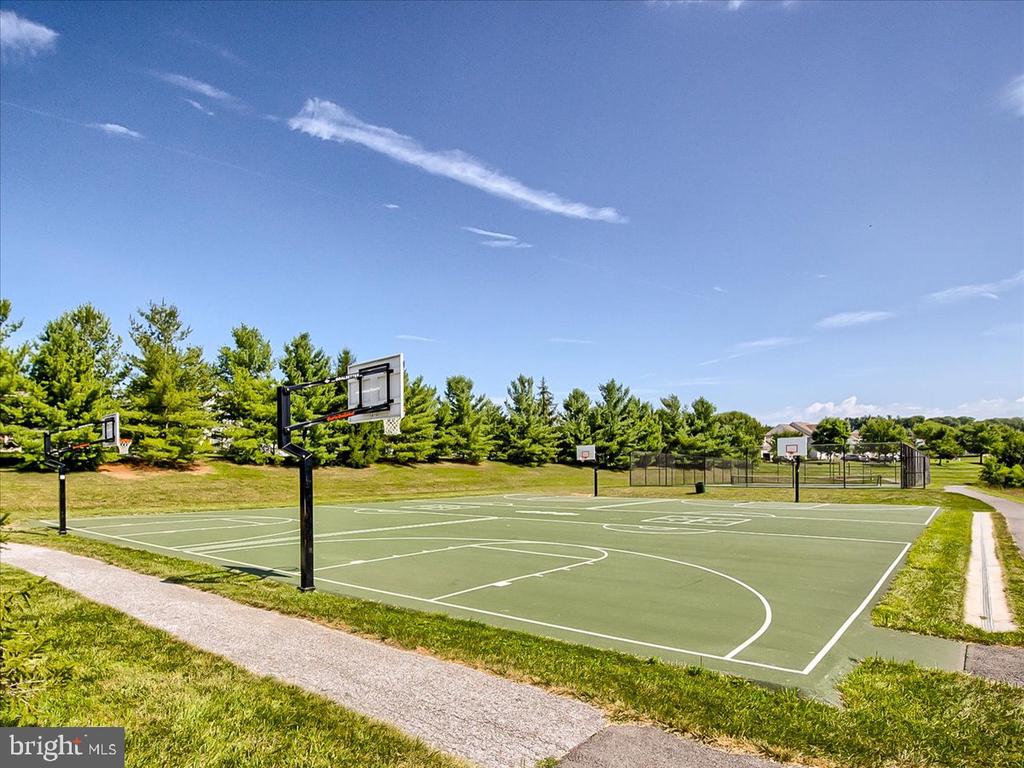 Outdoor basketball court with multiple hoops, surrounded by trees and grass.