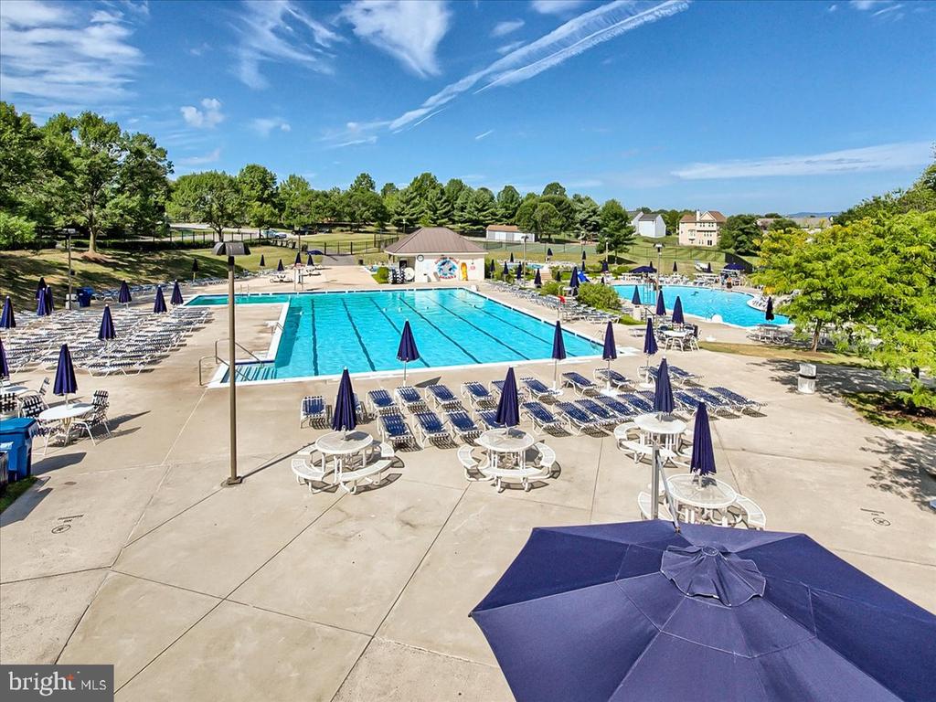 Community swimming pool with lane markings, lounge chairs, and umbrellas on a sunny day.