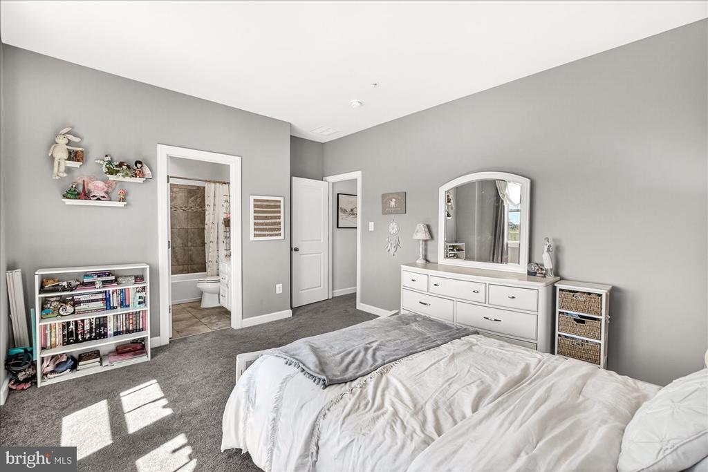 3633 MOLINE COURT